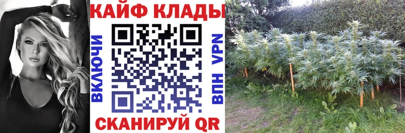 Виды наркоты Буйнакск Марихуана КОКАИН Амфетамин МЕФ