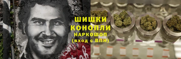 шишки Богданович
