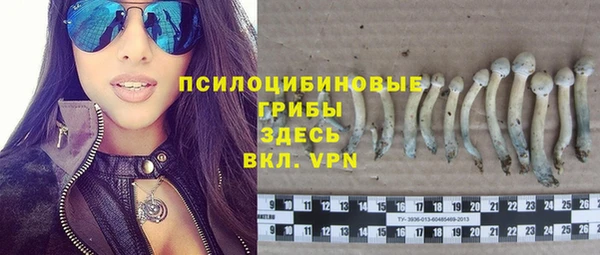 шишки Богданович